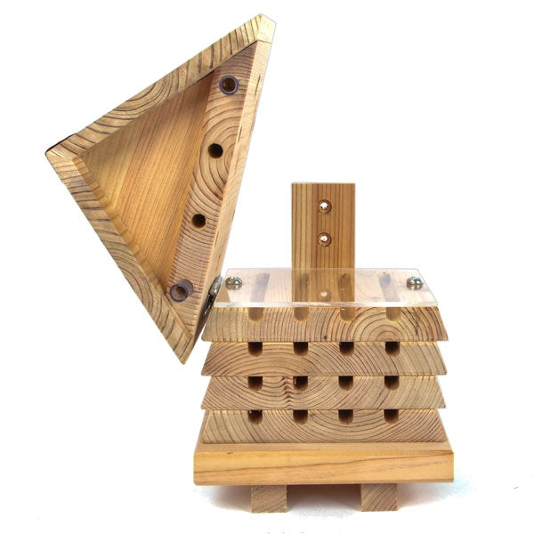 Interactive Solitary Bee Hive; Leafcutter egg cells; A bees new home; Solitary bee house in the garden
